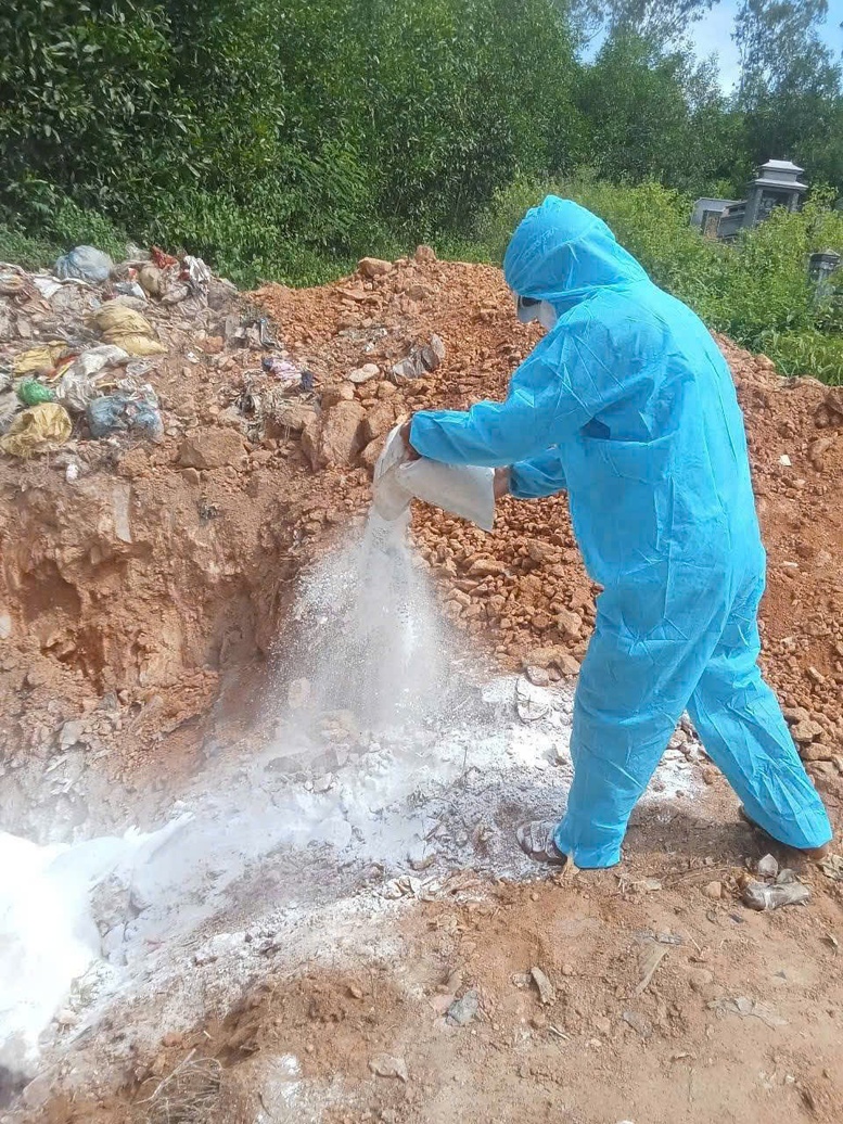 Quảng Ngãi chỉ đạo xử lý nghiêm các trường hợp giấu dịch tả lợn châu Phi- Ảnh 2.