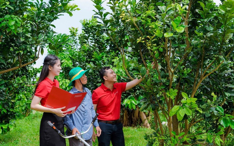 Agribank ưu đãi lớn, hỗ trợ chuyển đổi hộ kinh doanh thành doanh nghiệp