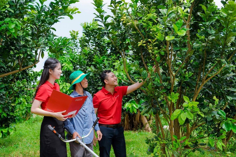 Agribank ưu đãi lớn, hỗ trợ chuyển đổi hộ kinh doanh thành doanh nghiệp- Ảnh 1.