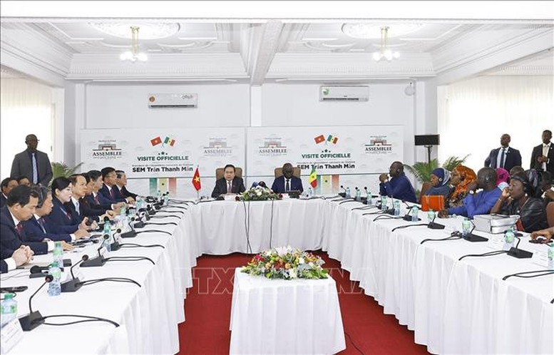 Chủ tịch Quốc hội Trần Thanh Mẫn hội đàm với Chủ tịch Quốc hội Senegal- Ảnh 4.