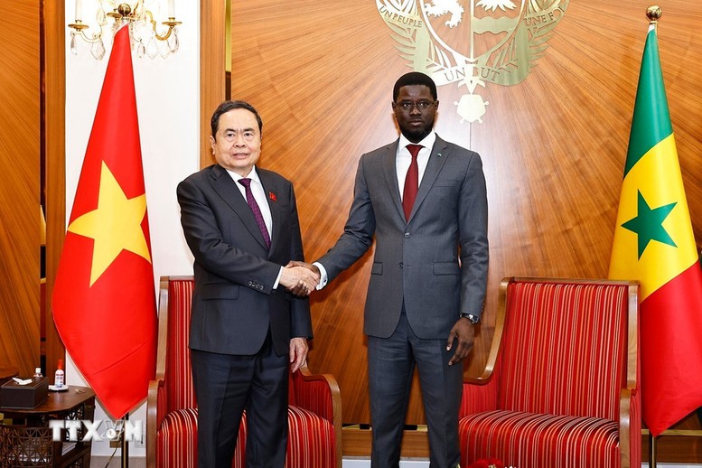 Chủ tịch Quốc hội Trần Thanh Mẫn hội kiến Tổng thống Senegal- Ảnh 1.