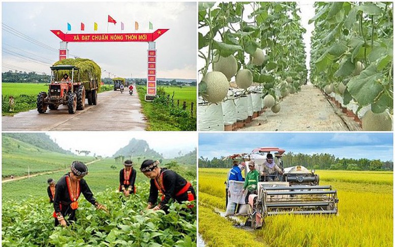 Xây dựng cơ sở dữ liệu các chương trình mục tiêu quốc gia