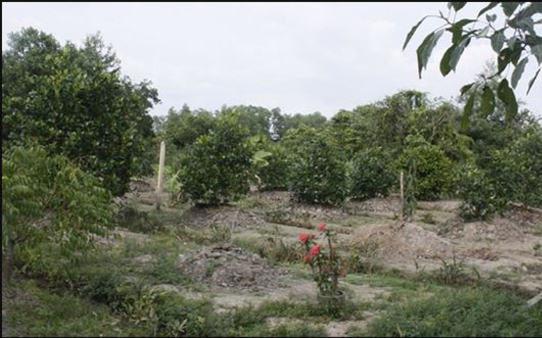 Trình tự, thủ tục chuyển đổi mục đích sử dụng đất