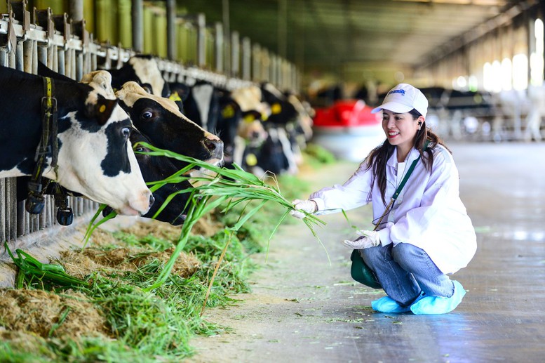 Vinamilk "Mở khóa tự nhiên" tại Green Farm: Mô hình sinh thái truyền cảm hứng đến cộng đồng doanh nghiệp- Ảnh 3.