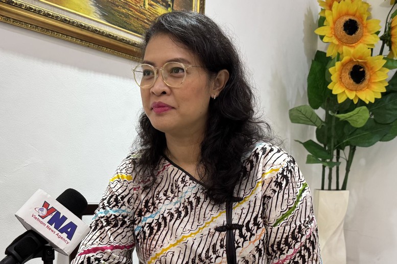Hành trình 30 năm Việt Nam gia nhập ASEAN qua góc nhìn chuyên gia quốc tế- Ảnh 4.