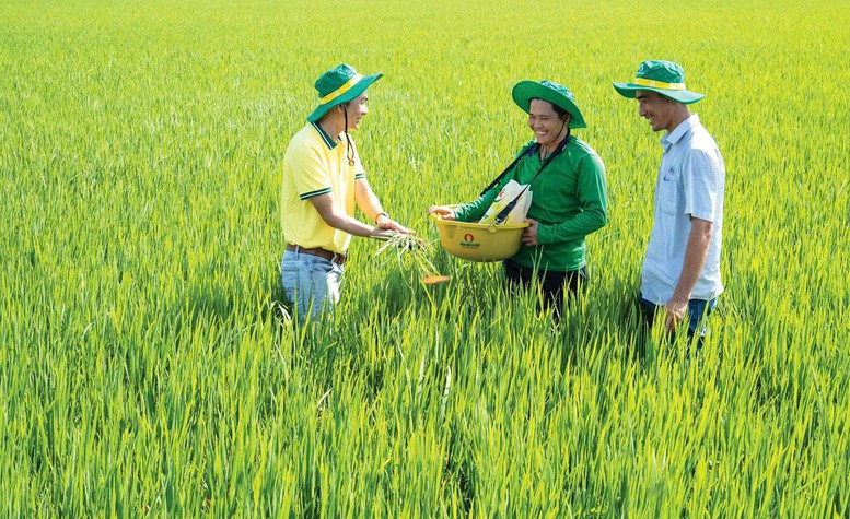 PVCFC được vinh danh Top 5 doanh nghiệp niêm yết Việt Nam ACGS 2024- Ảnh 2.