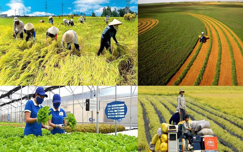 Công nghệ nội địa và bài toán tận dụng phụ phẩm nông nghiệp hiệu quả