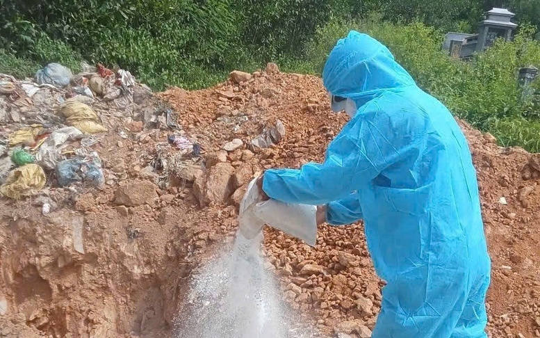 Đà Nẵng triển khai biện pháp cấp bách phòng, chống dịch tả lợn châu Phi
