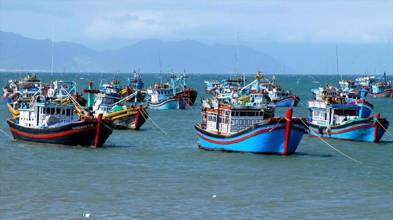 Công điện của Thủ tướng Chính phủ về việc tăng cường công tác chống khai thác thủy sản bất hợp pháp, không báo cáo, không theo quy định (IUU)- Ảnh 1.