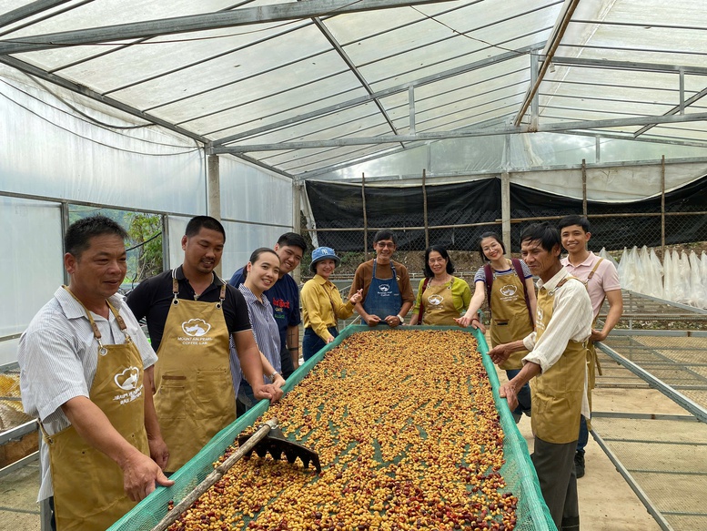Khe Sanh (Quảng Trị) – Nơi mỗi hạt cà phê mang trong mình 'linh hồn' của đất và người- Ảnh 5.