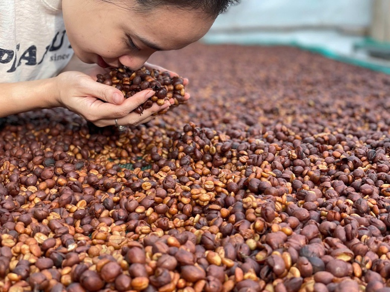 Khe Sanh (Quảng Trị) – Nơi mỗi hạt cà phê mang trong mình 'linh hồn' của đất và người- Ảnh 4.