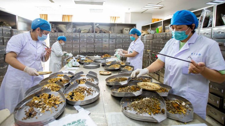 Quy định về đăng ký lưu hành thuốc cổ truyền, dược liệu- Ảnh 1.