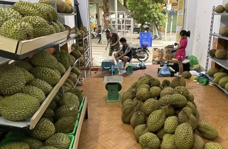 Xuất khẩu sầu riêng đông lạnh tăng 3 lần- Ảnh 1.