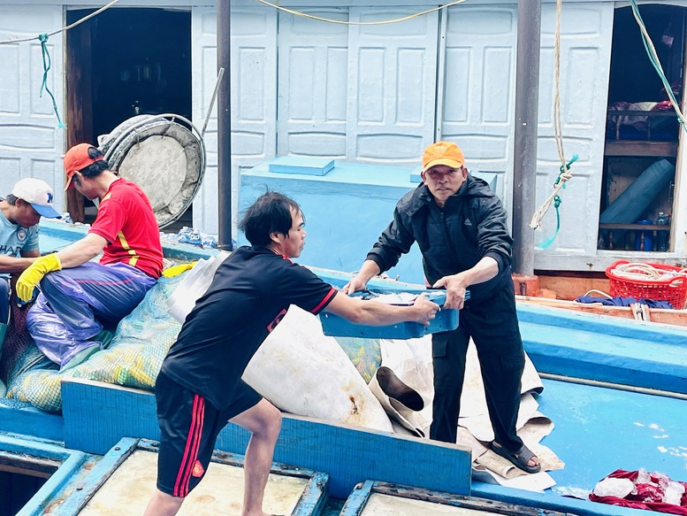 Quảng Ngãi xử lý nghiêm hành vi môi giới đưa tàu đi khai thác trái phép- Ảnh 2.