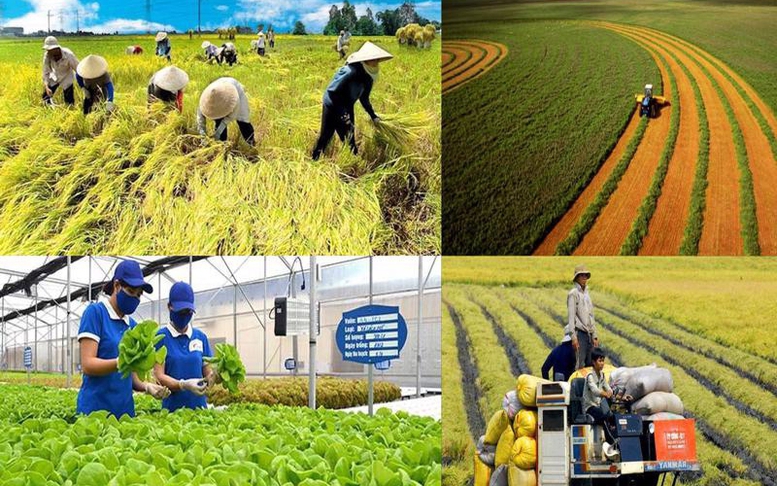 Ra mắt sổ tay hướng dẫn nhiệm vụ của chính quyền cấp xã lĩnh vực nông nghiệp và môi trường