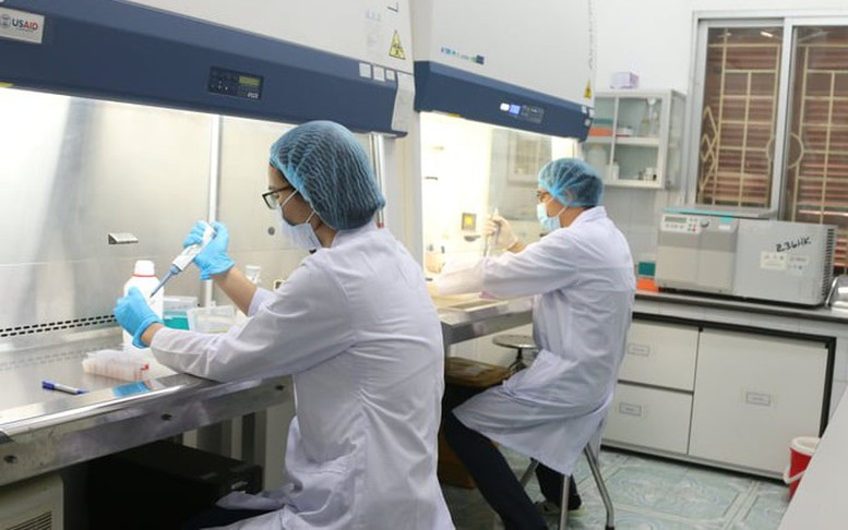 Thủ tục kiểm dịch đối với cá sấu xuất khẩu