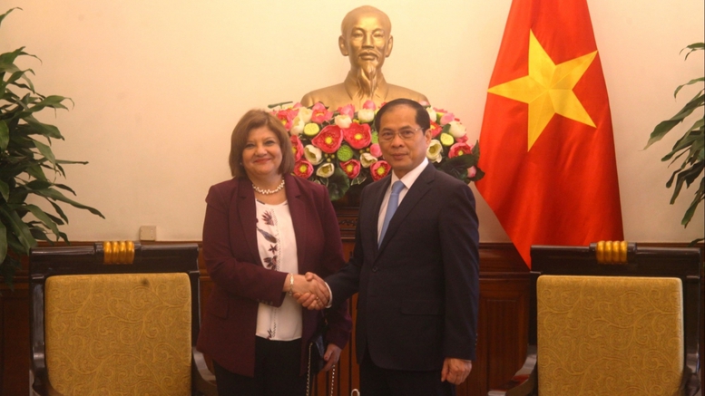 Phó Thủ tướng Bùi Thanh Sơn tiếp Đại sứ Ai Cập chào từ biệt