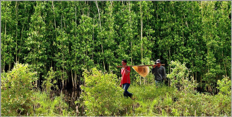 Cà Mau vươn mình từ biển, bừng sáng tương lai- Ảnh 5.