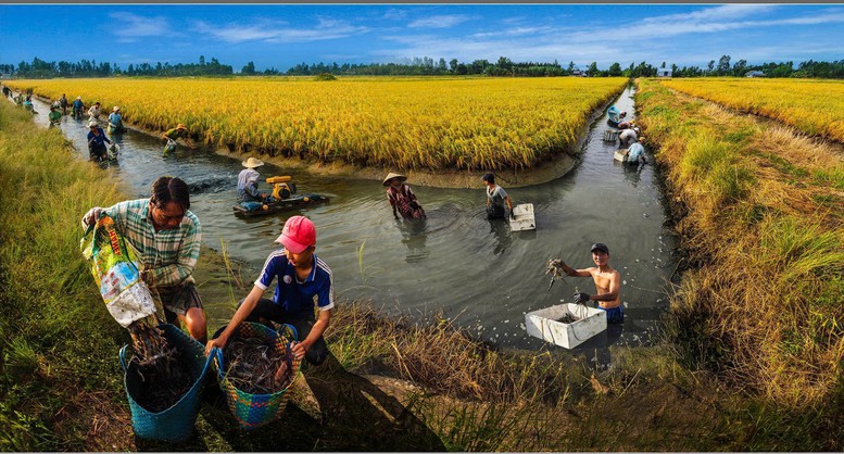 Cà Mau vươn mình từ biển, bừng sáng tương lai- Ảnh 3.