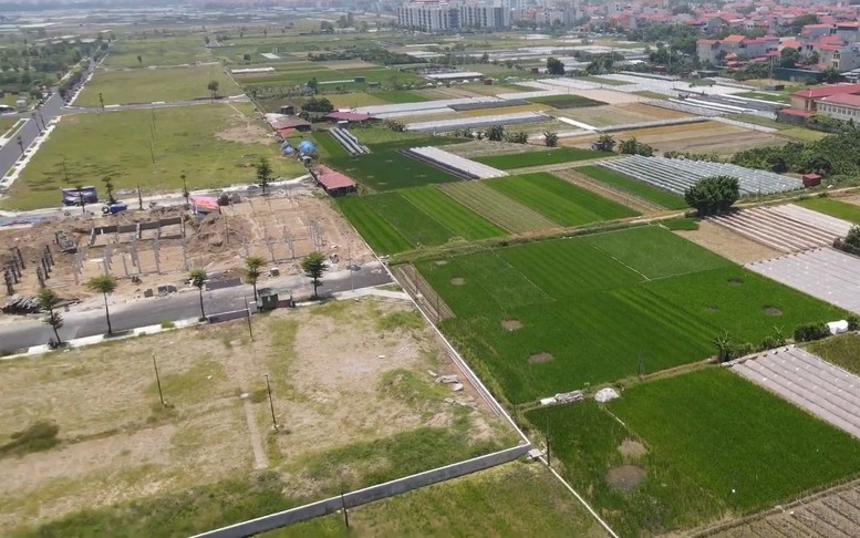 Biện pháp xử lý hành vi sử dụng đất sai mục đích