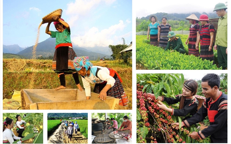 Thực hiện các chương trình mục tiêu quốc gia đồng bộ với mô hình chính quyền địa phương hai cấp- Ảnh 1.