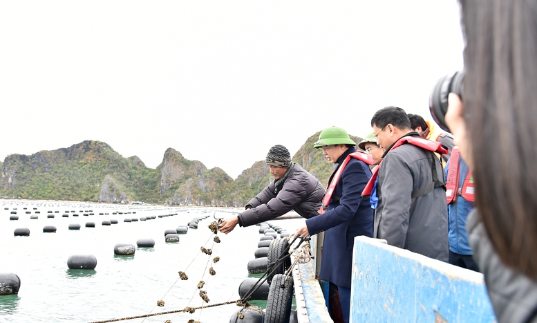 Giải quyết tận gốc nguyên nhân của tình trạng vi phạm IUU để khơi thông ngành kinh tế trọng yếu- Ảnh 4.