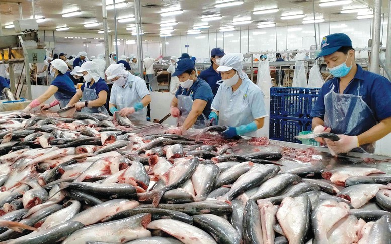 Các DN thủy sản cần quan tâm, khai thác tốt hơn thị trường nội địa