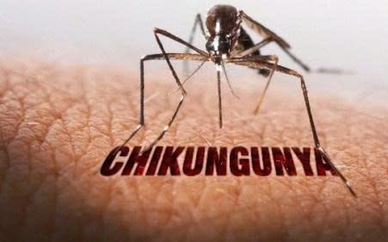 Bộ Y tế nói về các kịch bản ứng phó nguy cơ lây lan bệnh Chikungynya
