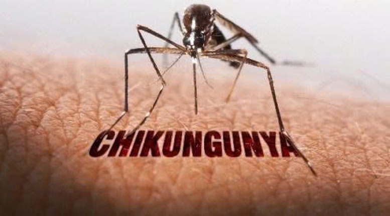 Bộ Y tế nói về các kịch bản ứng phó nguy cơ lây lan bệnh Chikungynya- Ảnh 2.