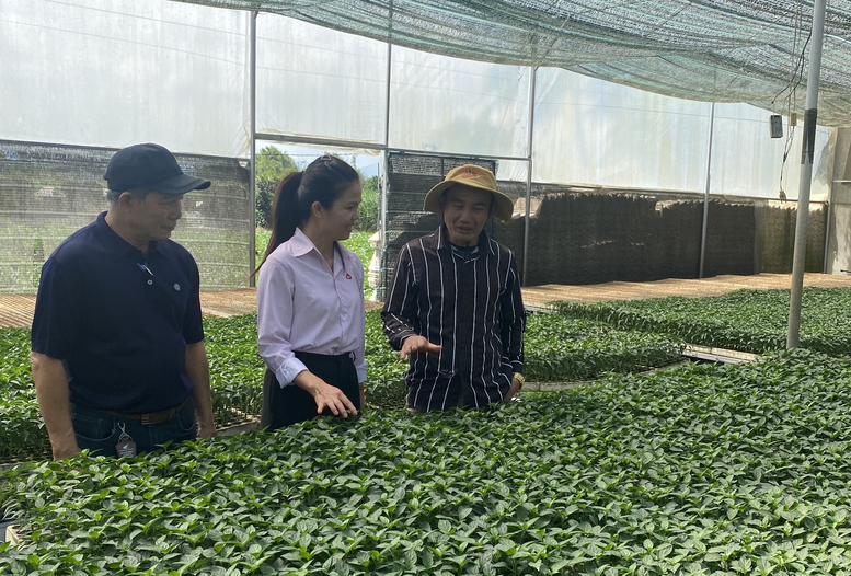 Gia Lai: Giữ nhịp 'dòng chảy' vốn tín dụng chính sách trên vùng cao An Khê- Ảnh 3.