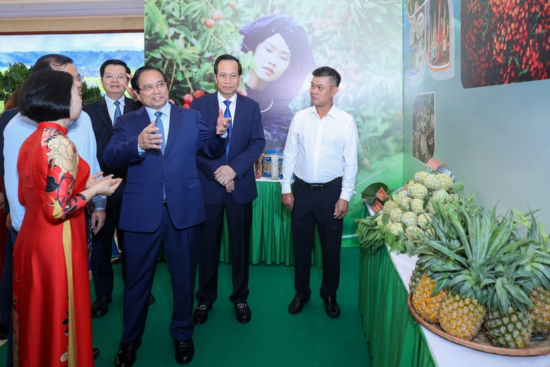 Thủ tướng: Có chính sách ưu tiên, nguồn lực ưu tiên, tín dụng ưu tiên với vùng đồng bào dân tộc thiểu số và miền núi- Ảnh 11.