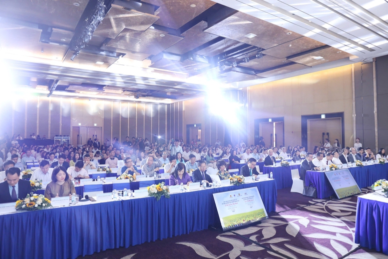 Cần khung pháp lý toàn diện về dinh dưỡng và dinh dưỡng học đường- Ảnh 2.