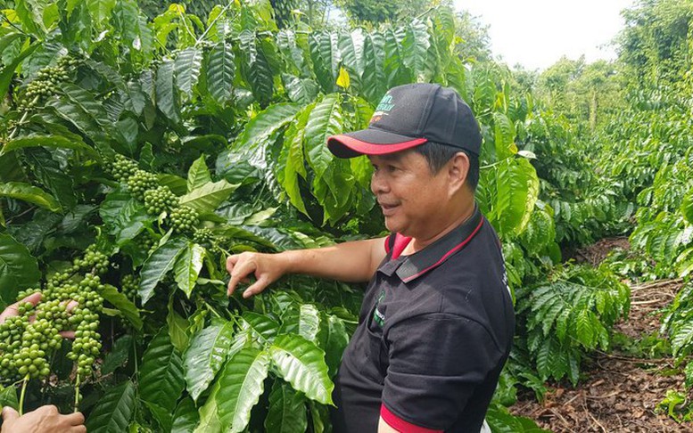 Nestlé Việt Nam thúc đẩy thực hành an toàn vệ sinh lao động trong quản lý rác thải