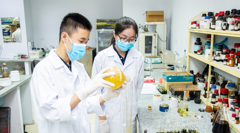 Đề xuất tiêu chuẩn nhà khoa học trẻ tài năng, kỹ sư trẻ tài năng- Ảnh 1.