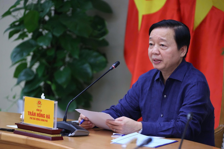 Ngăn dịch tả lợn châu Phi: Kiện toàn lực lượng thú y ở cơ sở, xây dựng hướng dẫn phòng dịch mới- Ảnh 1.