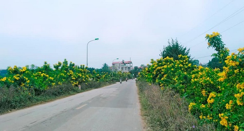 Hà Nội: Khởi sắc xây dựng nông thôn mới sau sáp nhập chính quyền 2 cấp- Ảnh 1.