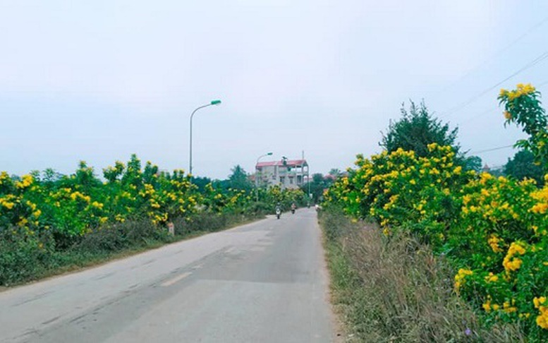 Hà Nội: Khởi sắc xây dựng nông thôn mới sau sáp nhập chính quyền 2 cấp
