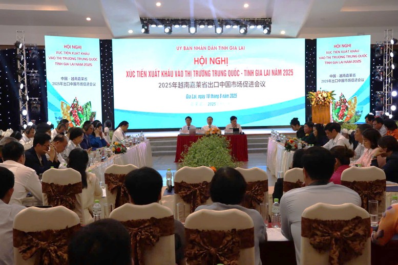 Gia Lai xúc tiến xuất khẩu nông sản vào thị trường Trung Quốc- Ảnh 2.