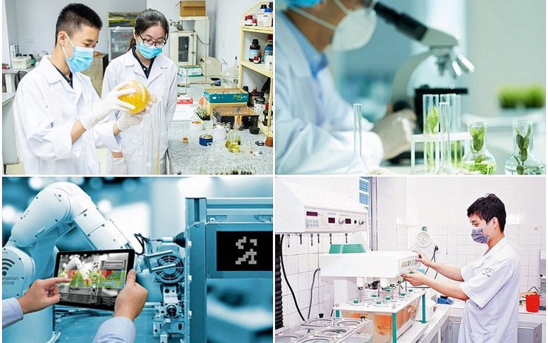Ban hành khung hướng dẫn phát triển KHCN, đổi mới sáng tạo, chuyển đổi số