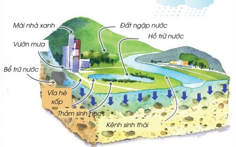 Tuyến phòng thủ trước thiên tai: Mô hình độc đáo từ các nước (Kỳ 2)