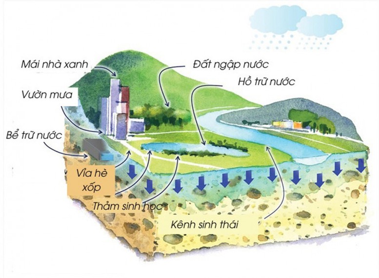 Tuyến phòng thủ trước thiên tai: Mô hình độc đáo từ các nước (Kỳ 2)- Ảnh 2.