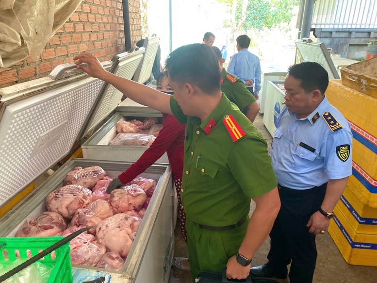 Miền Trung: Triển khai quyết liệt, đồng bộ giải pháp phòng, chống dịch tả lợn châu Phi- Ảnh 5.