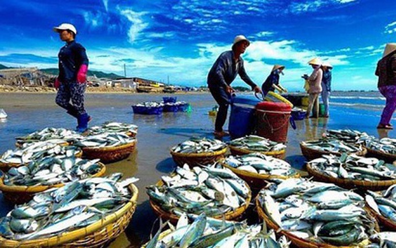 Thúc đẩy tiêu thụ thủy sản nội địa để cân bằng phát triển