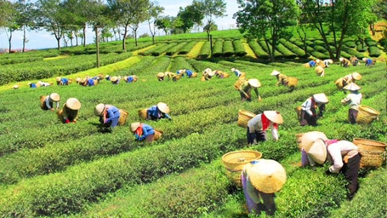 Chỉ đạo, điều hành của Chính phủ, Thủ tướng Chính phủ ngày 22/8/2025- Ảnh 4.