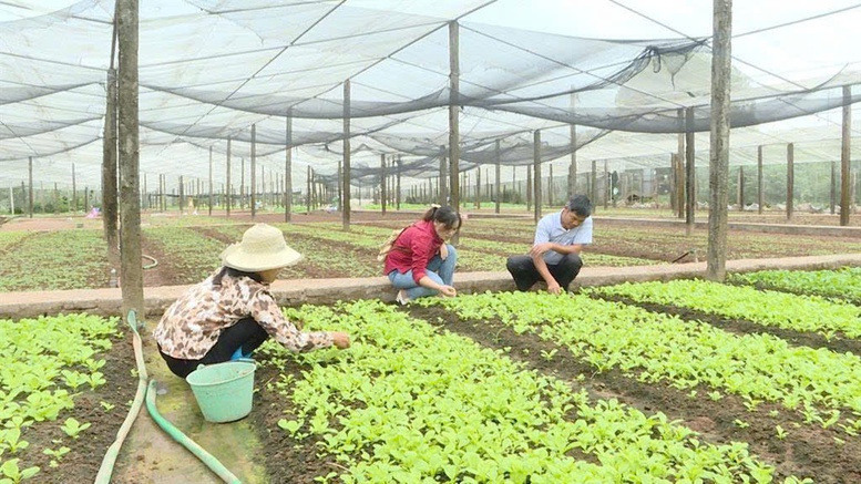 Xây dựng nông thôn mới: Giữ gìn làng nghề, phát huy giá trị văn hóa truyền thống- Ảnh 1.
