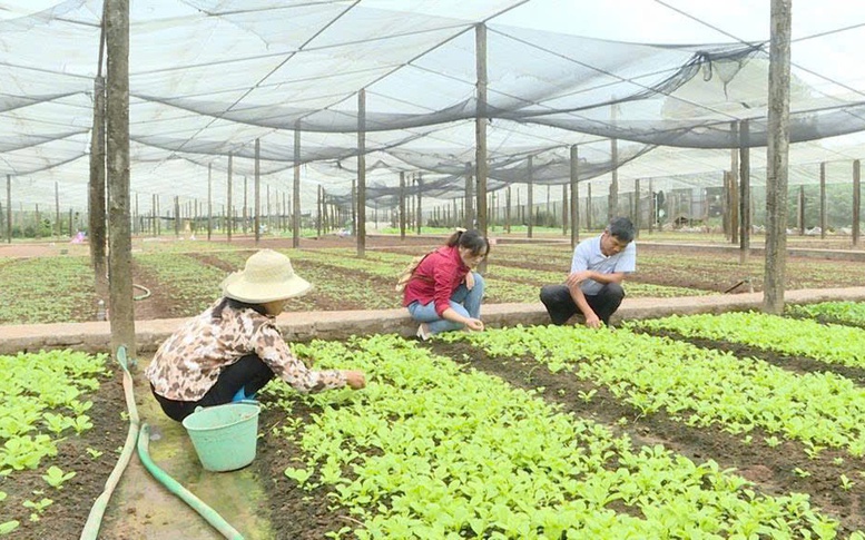 Xây dựng nông thôn mới: Giữ gìn làng nghề, phát huy giá trị văn hóa truyền thống