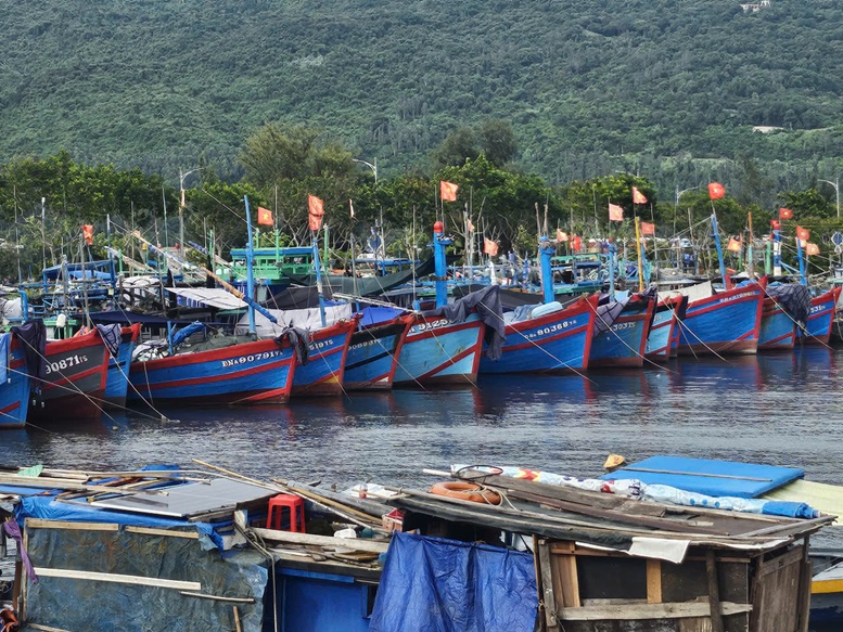 Các địa phương miền Trung khẩn trương ứng phó bão số 5- Ảnh 3.