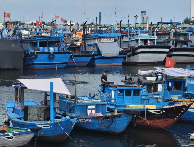 Các địa phương miền Trung khẩn trương ứng phó bão số 5- Ảnh 2.