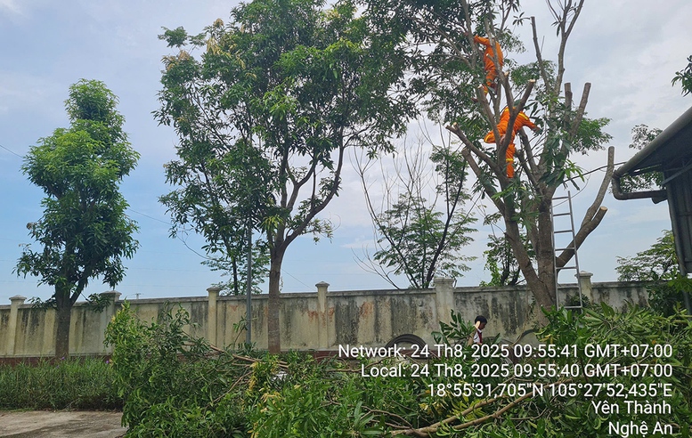 EVNNPT chủ động ứng phó bão số 5, đảm bảo vận hành an toàn lưới điện truyền tải- Ảnh 3.