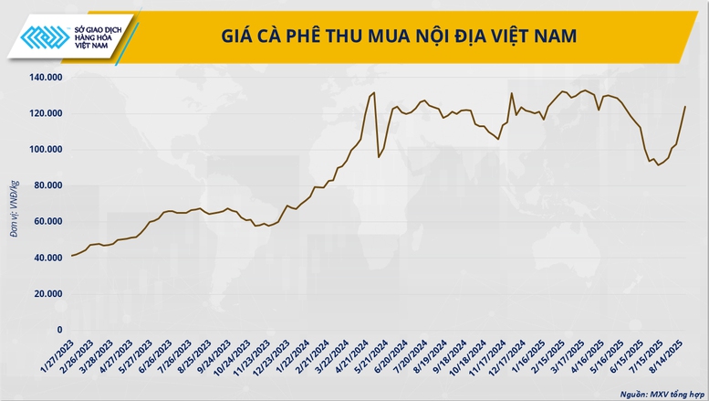 Cà phê thế giới khan hiếm, Việt Nam có phá vỡ kịch bản ‘được mùa mất giá’?- Ảnh 3.
